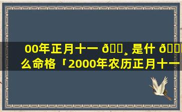 00年正月十一 🕸 是什 🕊 么命格「2000年农历正月十一生的是什么命」